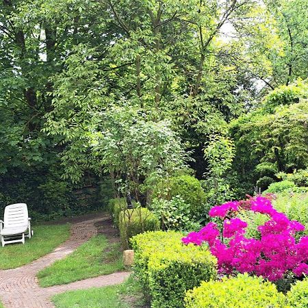 Guesthouse Vakantiehuis In Een Mooie Tuin In Het Centrum Van Zuidlaren! Екстериор снимка