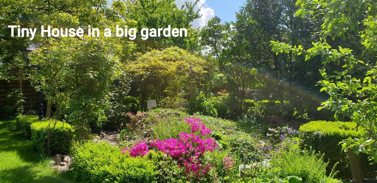 Guesthouse Vakantiehuis In Een Mooie Tuin In Het Centrum Van Zuidlaren! Екстериор снимка
