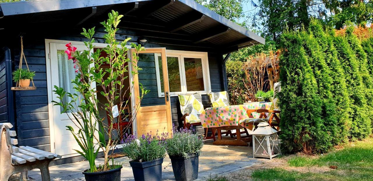 Guesthouse Vakantiehuis In Een Mooie Tuin In Het Centrum Van Zuidlaren! Екстериор снимка