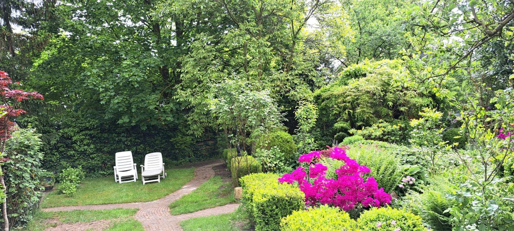 Guesthouse Vakantiehuis In Een Mooie Tuin In Het Centrum Van Zuidlaren! Екстериор снимка