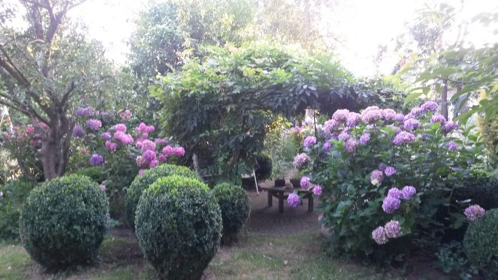 Guesthouse Vakantiehuis In Een Mooie Tuin In Het Centrum Van Zuidlaren! Екстериор снимка